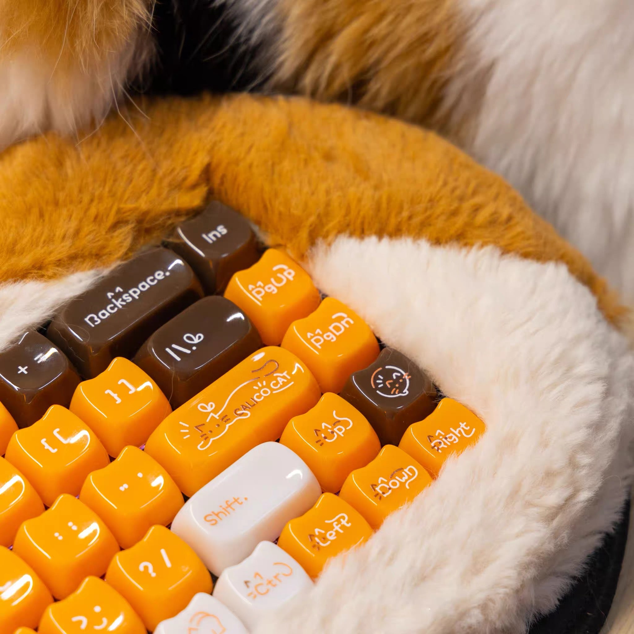 Ragdoll Kitty Key Caps Set-148 key